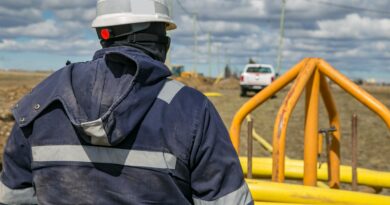 Jak długie są węże do szamba?