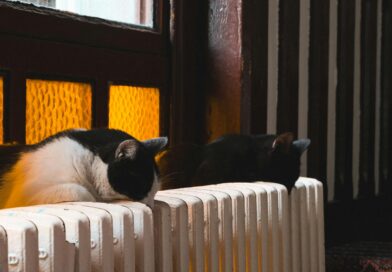 Jak zdalnie sterować ogrzewaniem domu telefonem?